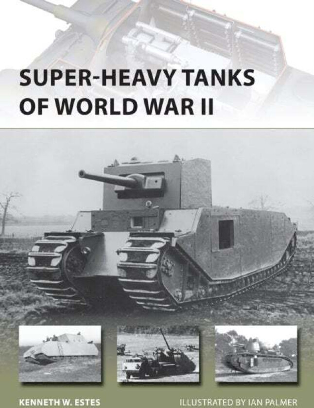 Super-heavy Tanks of World War II av Kenneth W Estes