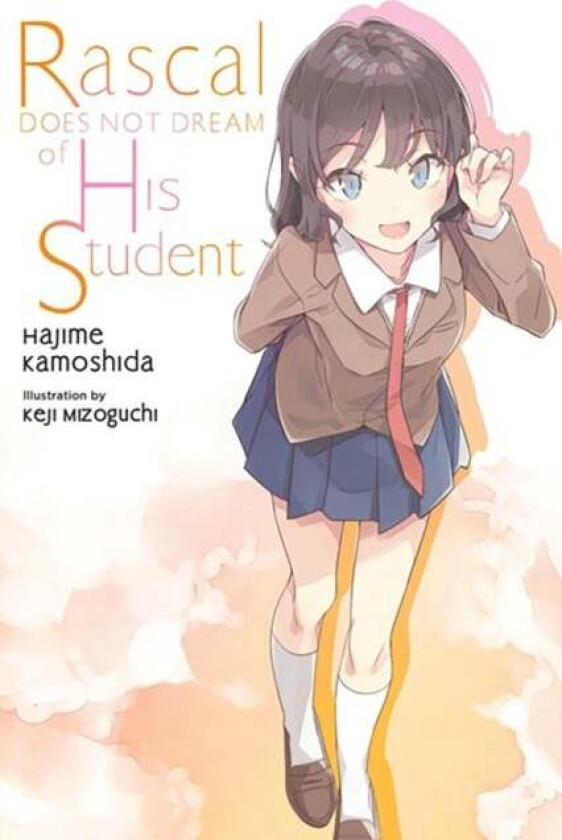 Rascal Does Not Dream, Vol. 12 (light novel) av Hajime Kamoshida