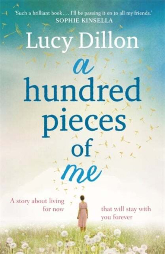 A Hundred Pieces of Me av Lucy Dillon