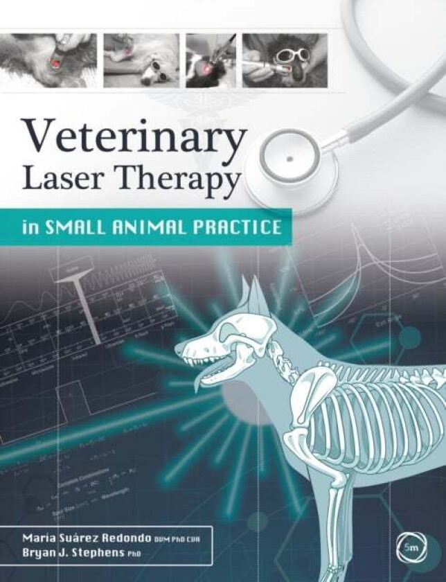 Veterinary Laser Therapy in Small Animal Practice av Maria Suarez Redondo, Bryan Stephens