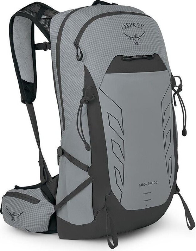 Talon Pro 20 Backpack Silver Lining