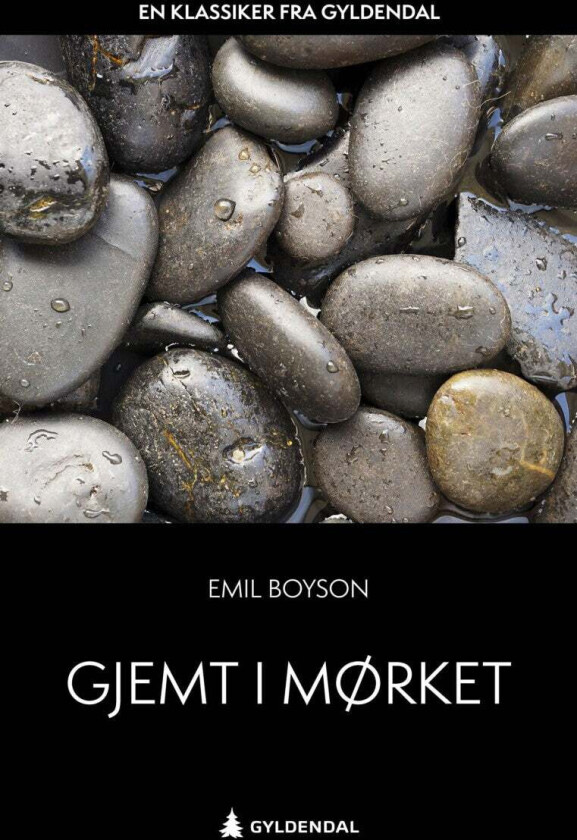 Gjemt i mørket av Emil Boyson