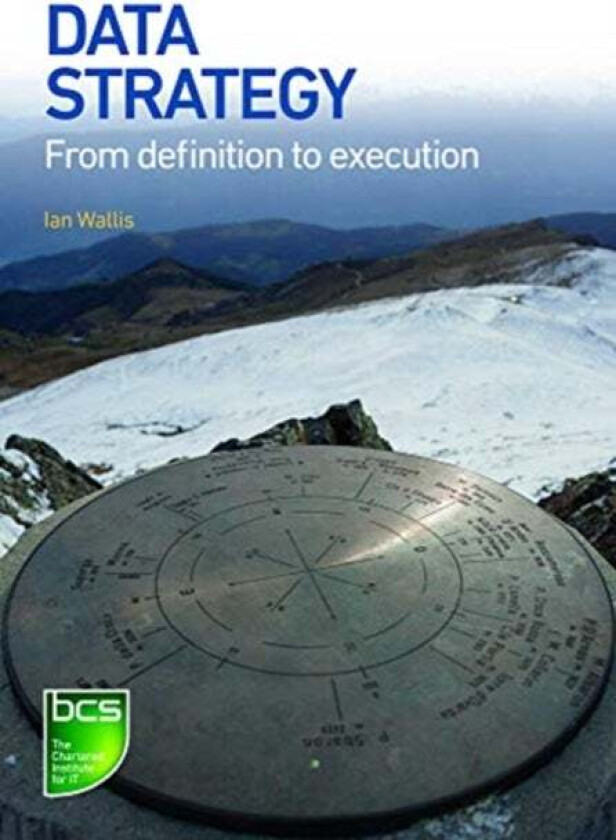Data Strategy av Ian Wallis