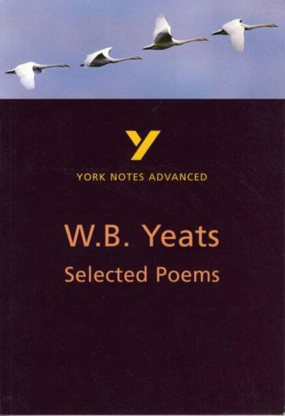 Selected Poems of W B Yeats: York Notes Advanced everything you need to catch up, study and prepare av Derry Jeffares