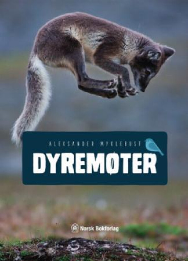 Dyremøter av Aleksander Myklebust