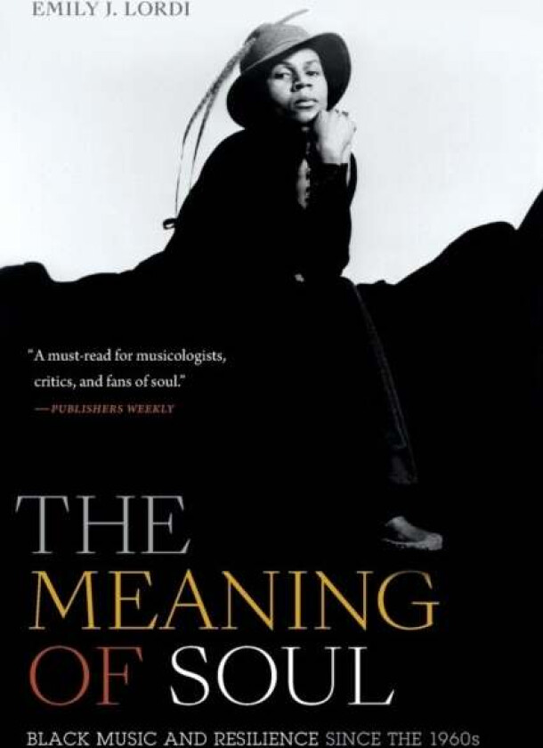 The Meaning of Soul av Emily J. Lordi