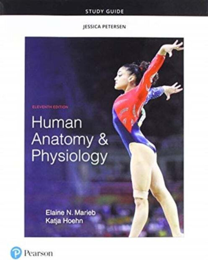 Study Guide for Human Anatomy & Physiology av Elaine Marieb, Katja Hoehn