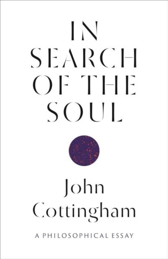 In Search of the Soul av John Cottingham
