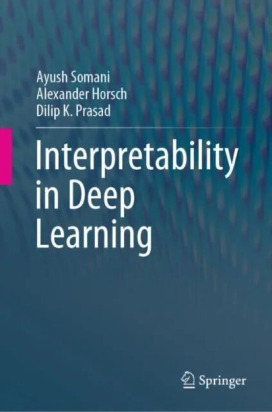 Interpretability in Deep Learning av Ayush Somani, Alexander Horsch, Dilip K. Prasad