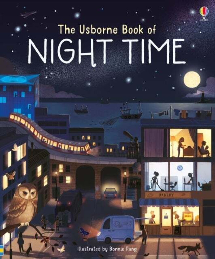 Usborne Book of Night Time av Laura Cowan