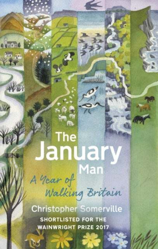 The January Man av Christopher Somerville