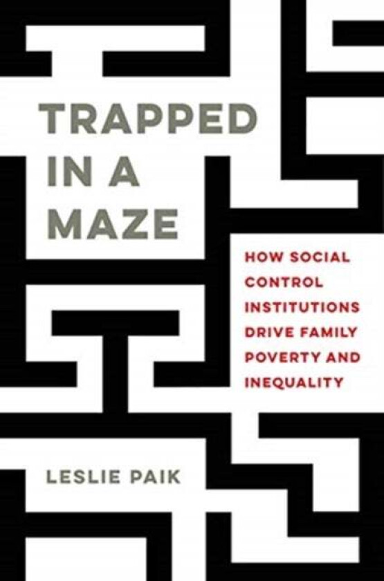 Trapped in a Maze av Leslie Paik