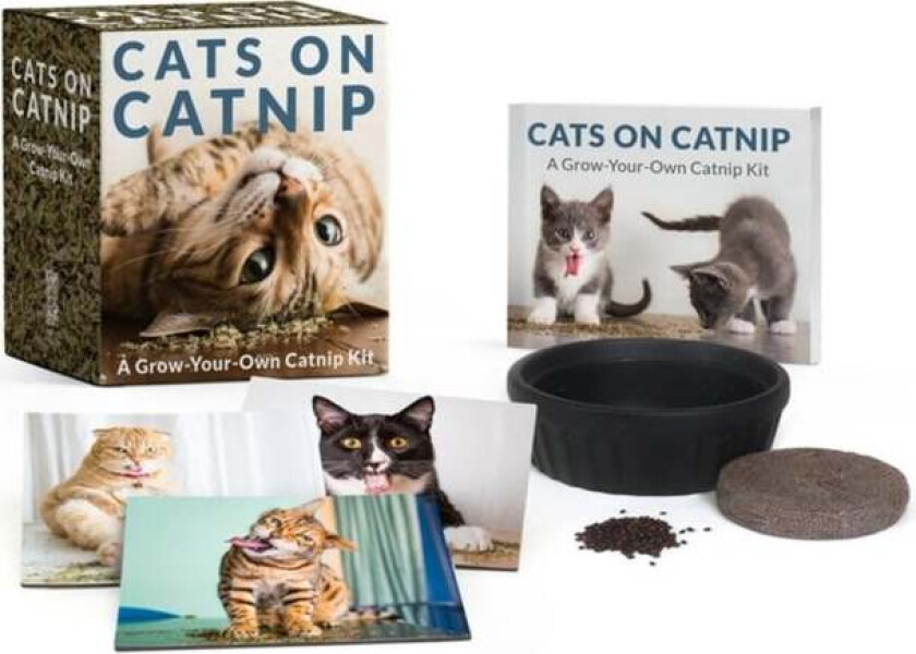 Cats on Catnip: A Grow-Your-Own Catnip Kit av Andrew Marttila