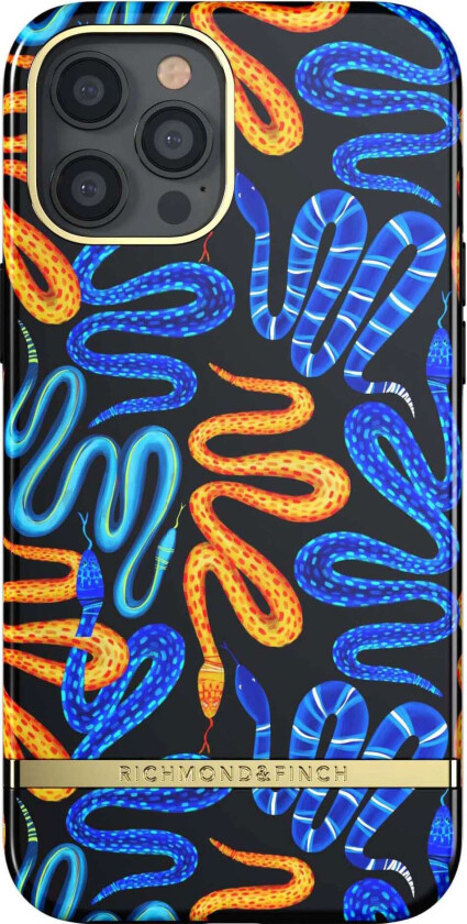 R&F telefondeksel til iPhone 12 Pro Max (snake pit)