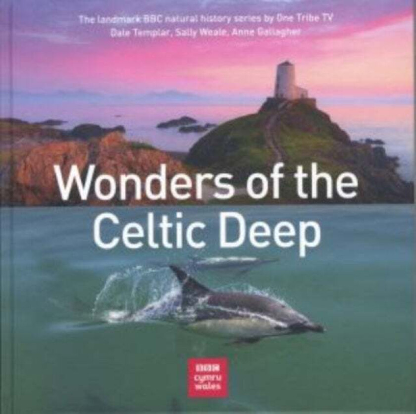 Wonders of the Celtic Deep av Dale Templar, Sally Weale, Anne Gallagher