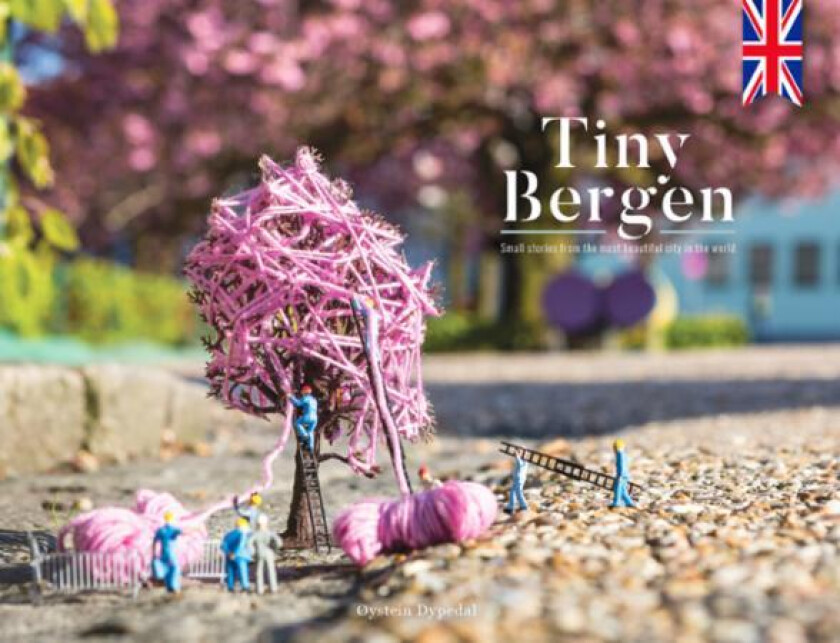 Tiny Bergen av Øystein Dypedal