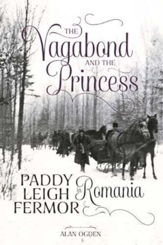 The Vagabond and the Princess av Alan Ogden