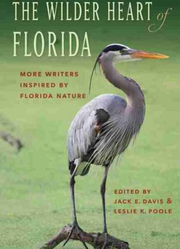 The Wilder Heart of Florida av Leslie K. Poole