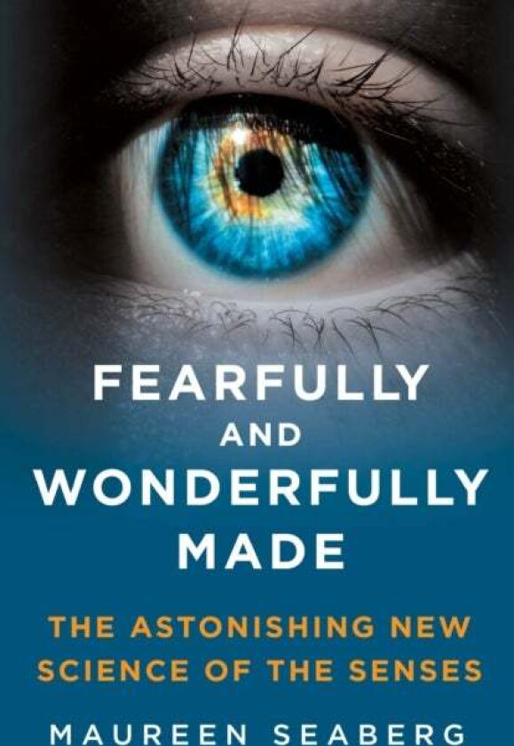 Fearfully and Wonderfully Made av Maureen Seaberg