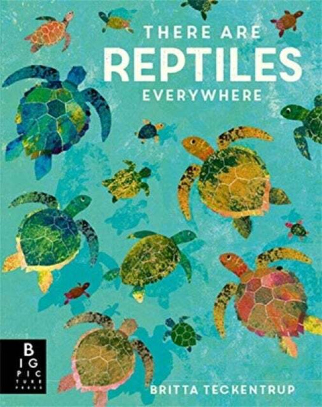 There are Reptiles Everywhere av Camilla De la Bédoyère