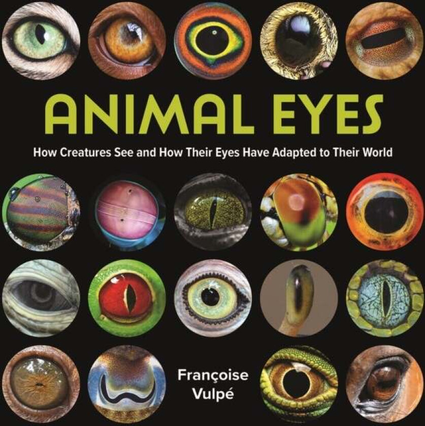 Animal Eyes av Francoise Vulpe