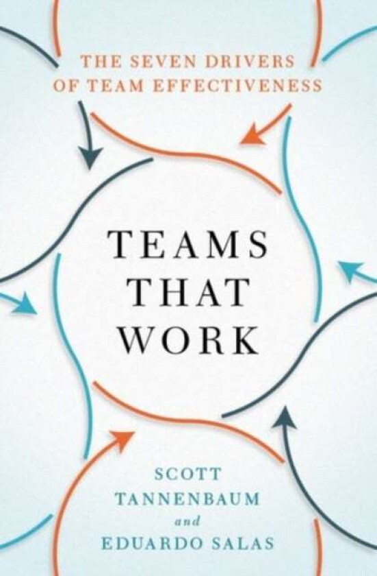 Teams That Work av Scott (President President Group for Organizational Effectiveness) Tannenbaum, Eduardo (Allyn R. & Gladys M. Cline Chair in Psy