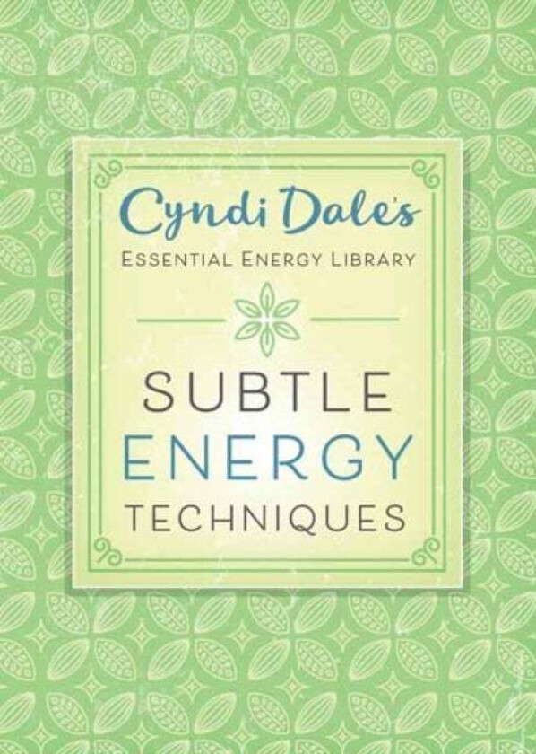 Subtle Energy Techniques av Cyndi Dale