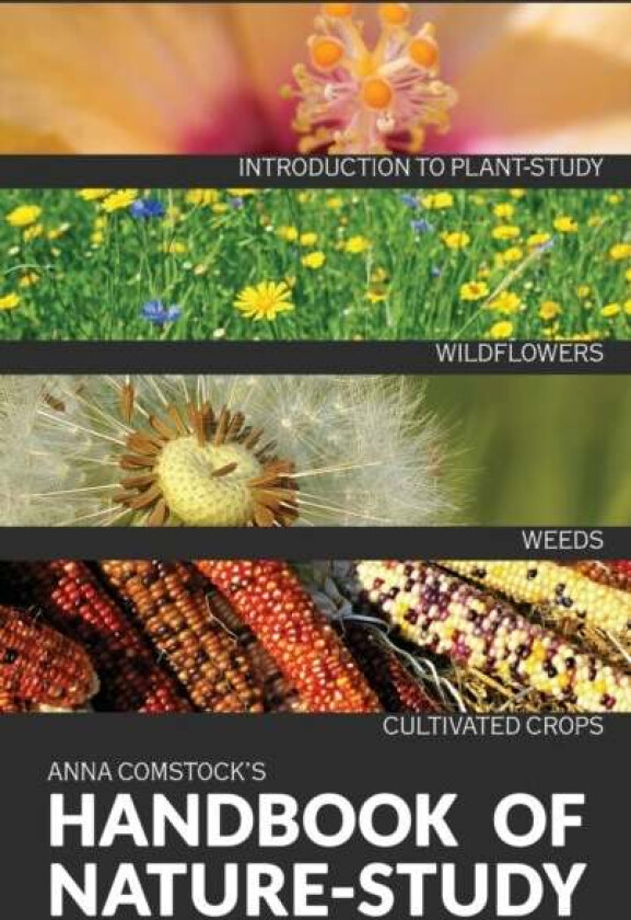 The Handbook Of Nature Study in Color - Wildflowers, Weeds & Cultivated Crops av Anna B Comstock