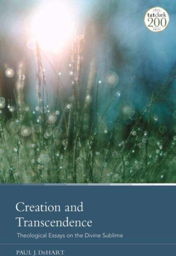 Creation and Transcendence av Professor Paul J. (Vanderbilt University USA) DeHart