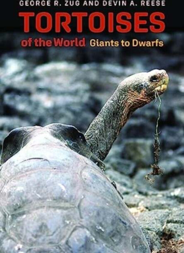 Tortoises Of The World Av George R Zug, Devin A Reese