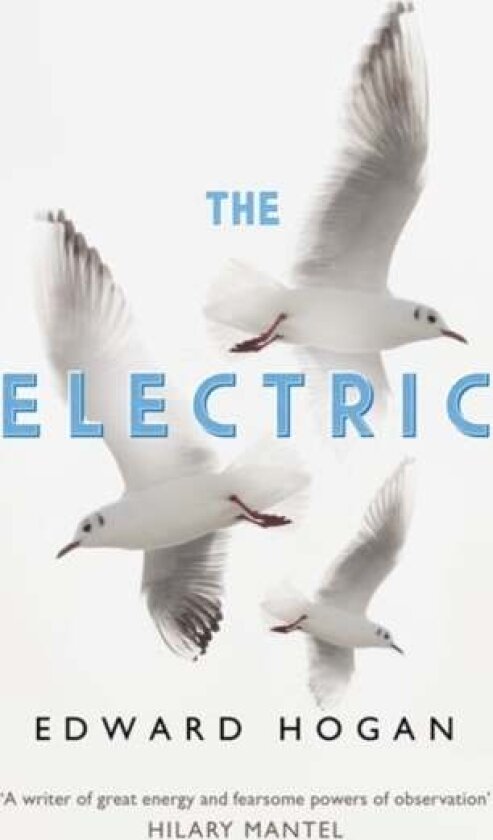 The Electric av Edward Hogan