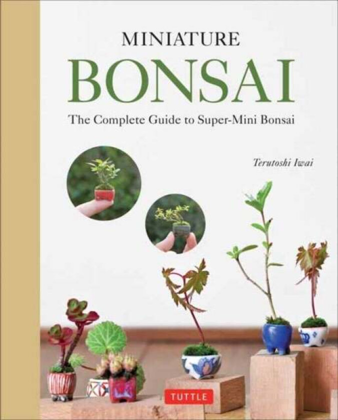 Miniature Bonsai av Terutoshi Iwai
