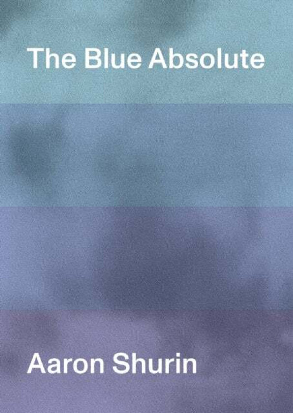 The Blue Absolute av Aaron Shurin