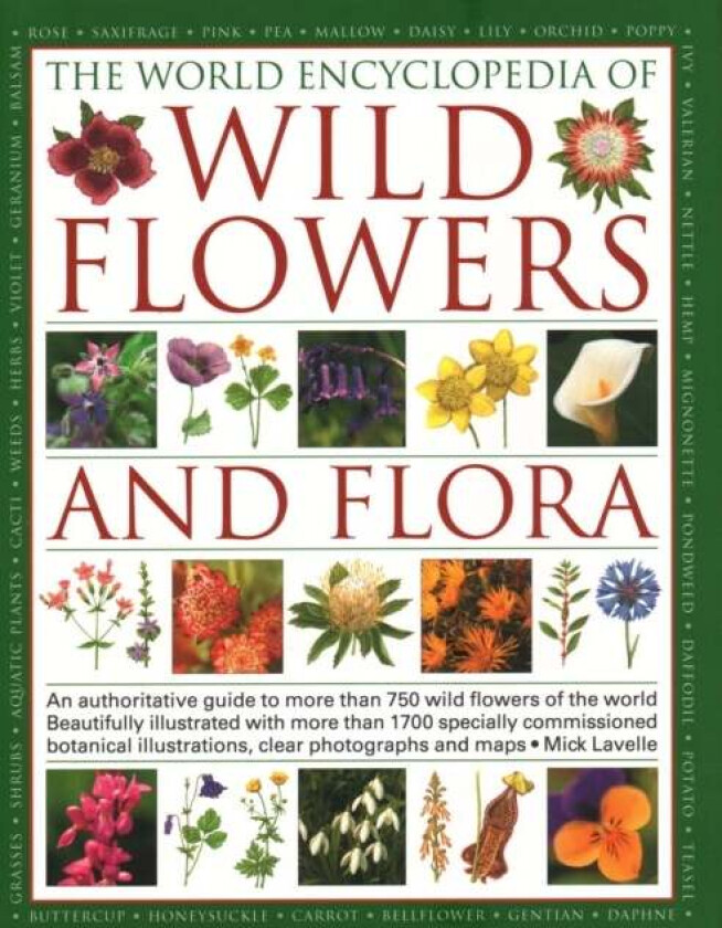 Wild Flowers & Flora, The World Encyclopedia of av Michael Lavelle