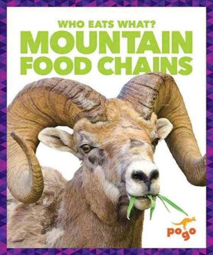 Mountain Food Chains av Rebecca Pettiford