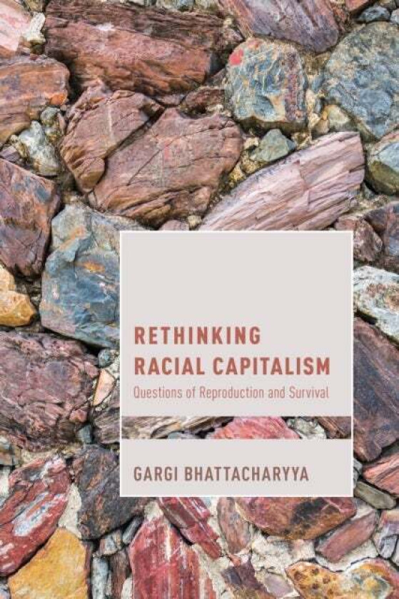 Rethinking Racial Capitalism av Gargi Bhattacharyya