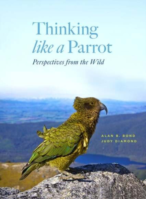Thinking Like a Parrot av Alan Bond, Judy Diamond