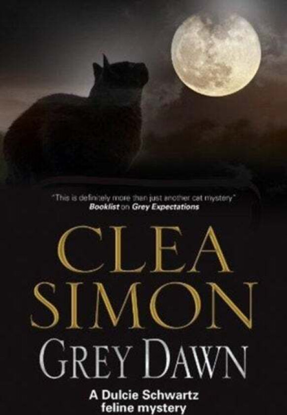 Grey Dawn av Clea Simon