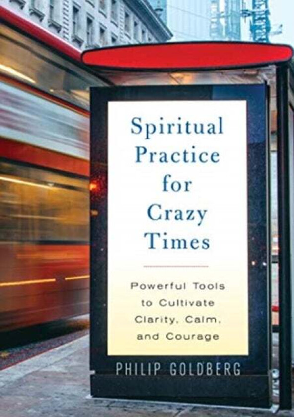 Spiritual Practice for Crazy Times av Philip Goldberg