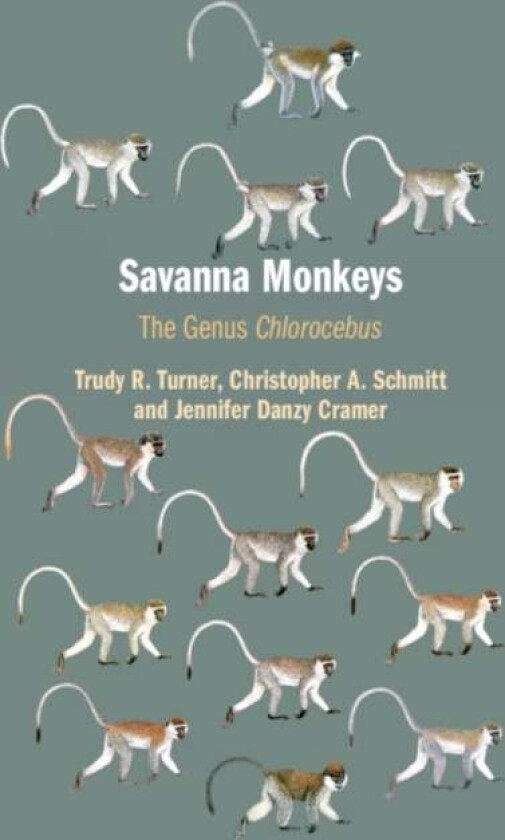 Savanna Monkeys av Trudy R. (University of Wisconsin Milwaukee) Turner, Christopher A. (Boston University) Schmitt, Jennifer Danzy Cramer