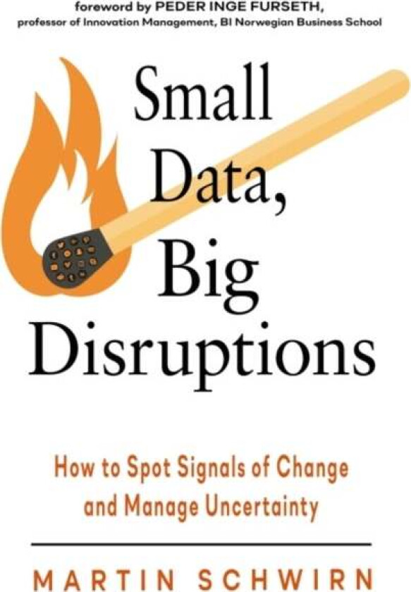 Small Data, Big Disruptions av Martin (Martin Schwirn) Schwirn