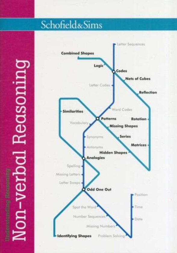 Understanding Reasoning: Non-verbal Reasoning av Rebecca Brant