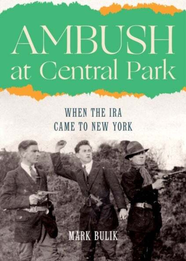 Ambush at Central Park av Mark Bulik
