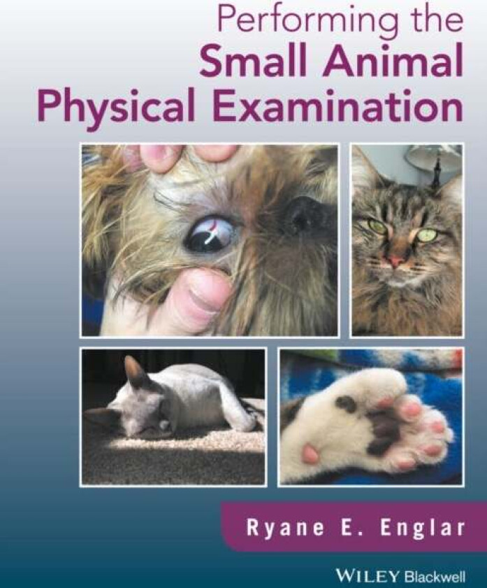 Performing the Small Animal Physical Examination av Ryane E. (Midwestern University College of Veterinary Medicine Glendale Arizona USA) Englar