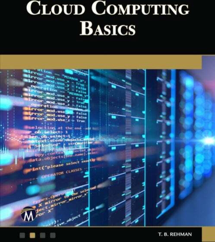 Cloud Computing Basics av T. B. Rehman