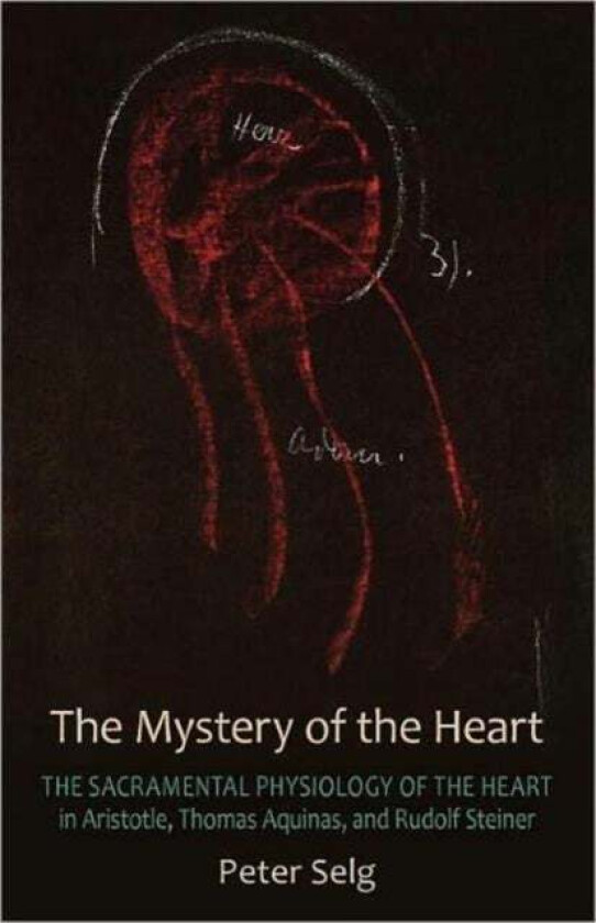 The Mystery of the Heart av Peter Selg