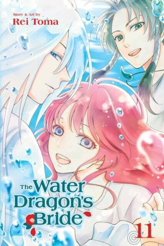 The Water Dragon's Bride, Vol. 11 av Rei Toma