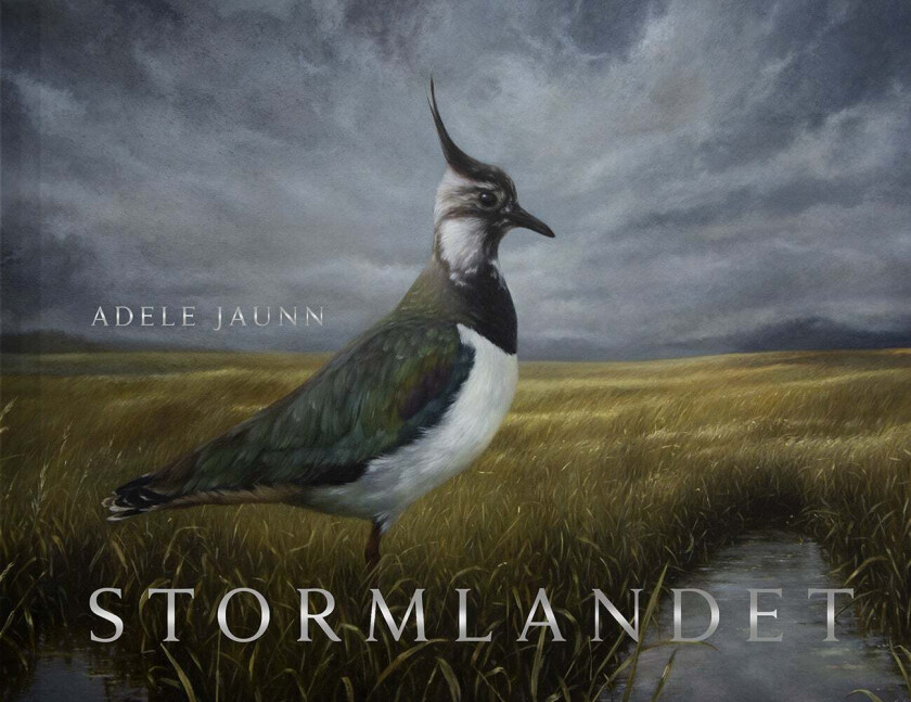 Stormlandet av Adele Jaunn