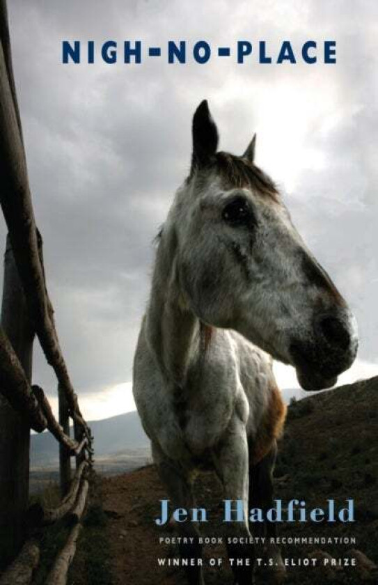 Nigh-No-Place av Jen Hadfield