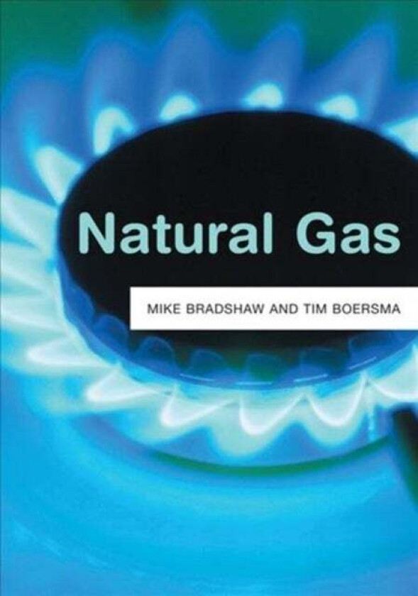 Natural Gas av Michael J. (University of Birmingham UK) Bradshaw, Tim Boersma